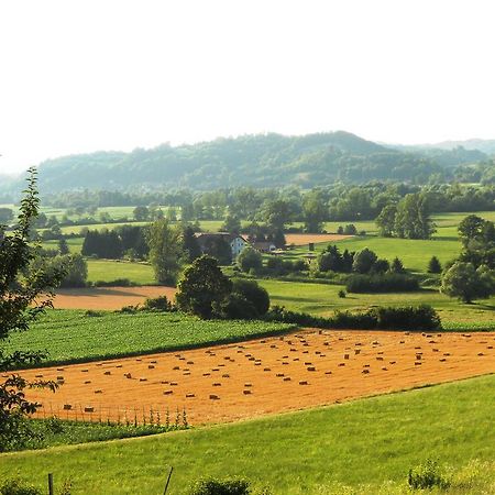 Farm Stay Kramer Bistrica ob Sotli Extérieur photo