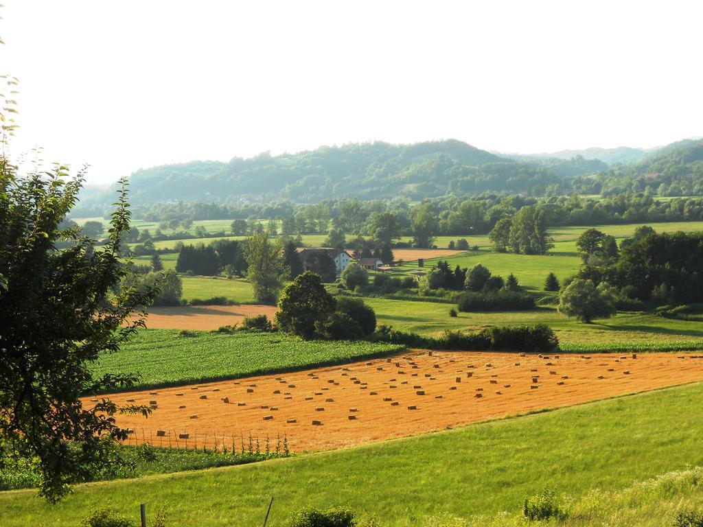 Farm Stay Kramer Bistrica ob Sotli Extérieur photo