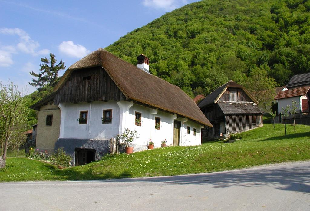Farm Stay Kramer Bistrica ob Sotli Extérieur photo